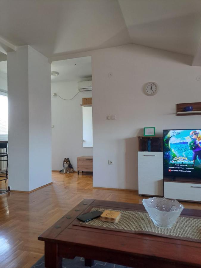 Apartman Zvezdica -Smederevo, Netflix Kültér fotó
