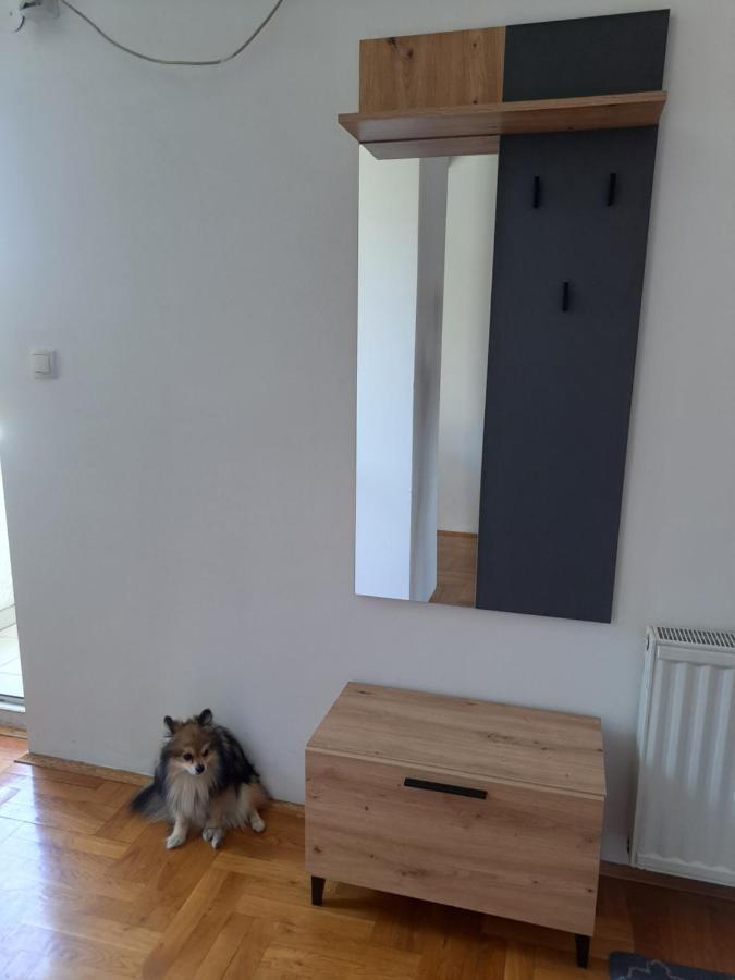 Apartman Zvezdica -Smederevo, Netflix Kültér fotó