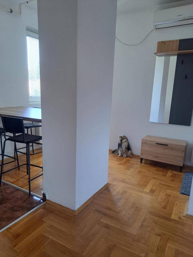 Apartman Zvezdica -Smederevo, Netflix Kültér fotó